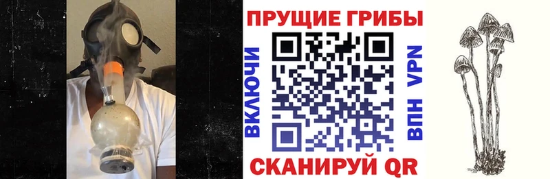 Галлюциногенные грибы мухоморы  Бабаево 
